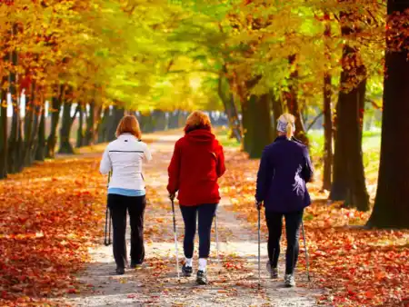 Nordic walking