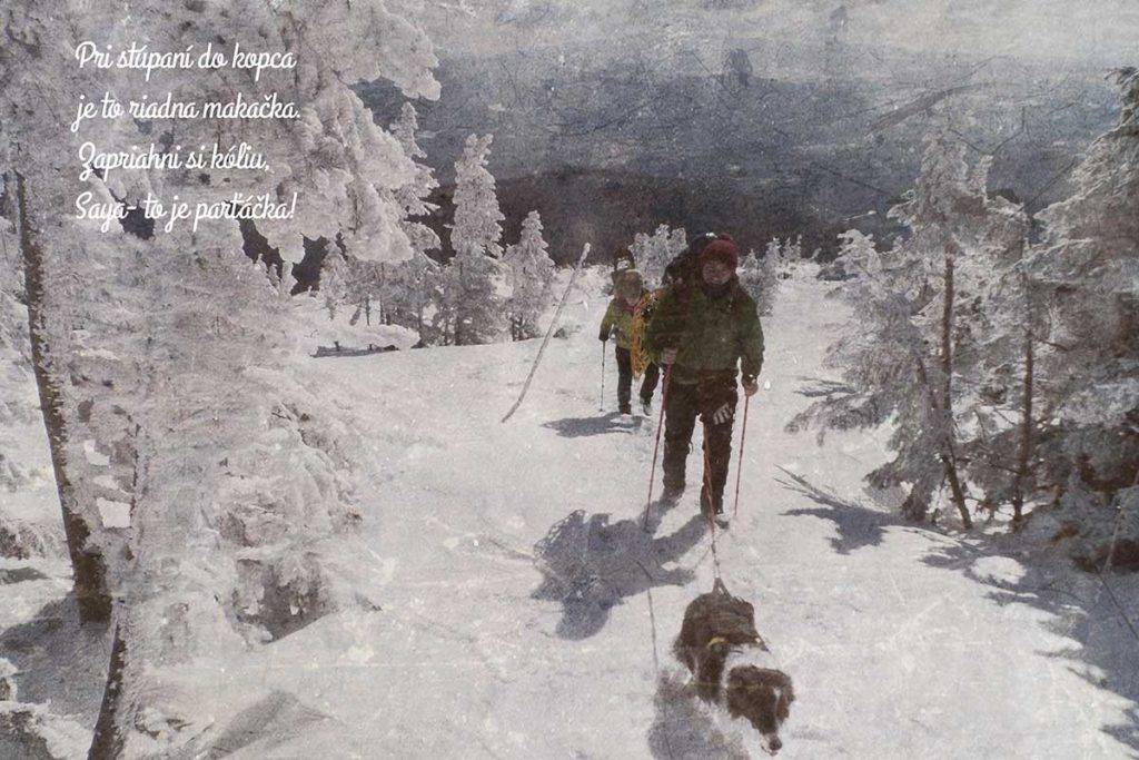 Nízkotatranská Vysoká Poézia v Obrazoch