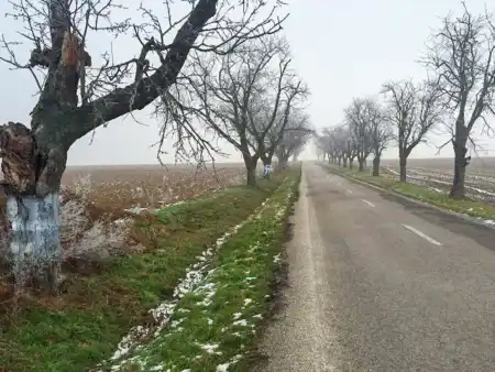 Obsolovská estetika