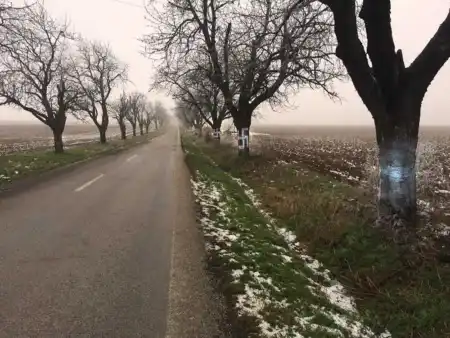 Obsolovská estetika