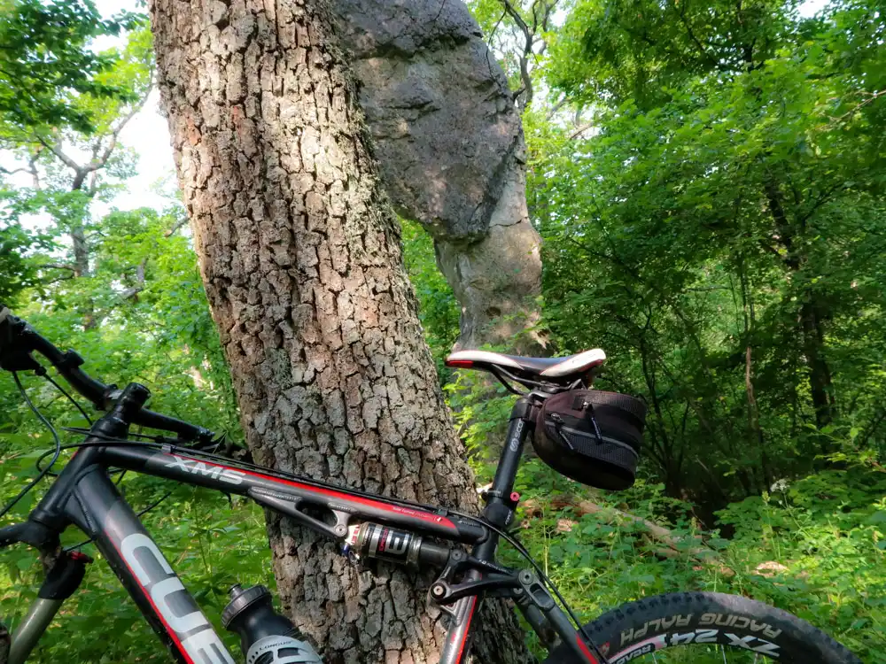 MTB Tríbeč