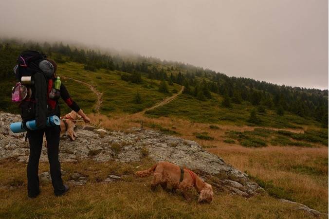 Hrebeňovka Kráľova hoľa Donovaly