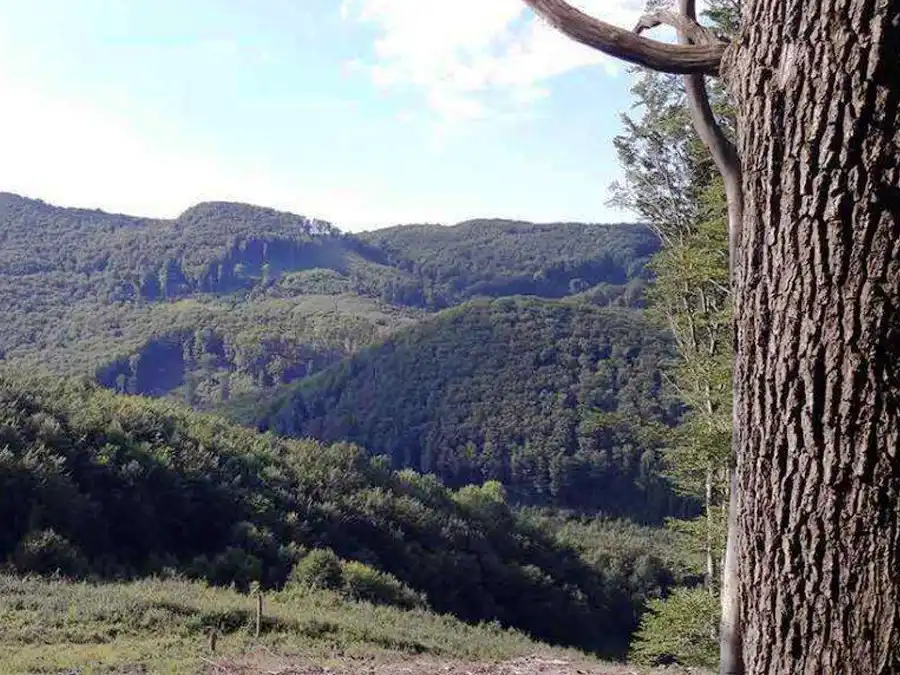 Panoráma Malých Karpát