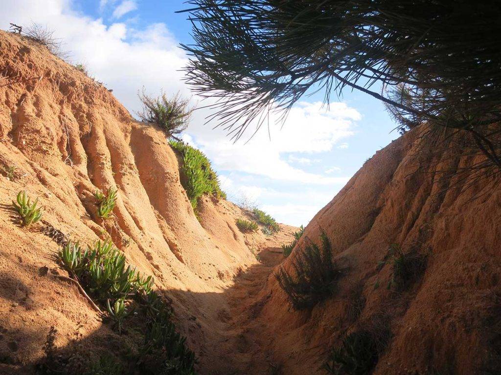 6 dní Faro beaches, 100 km running trails