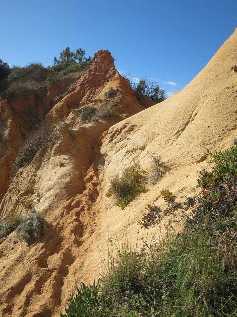 6 dní Faro beaches, 100 km running trails