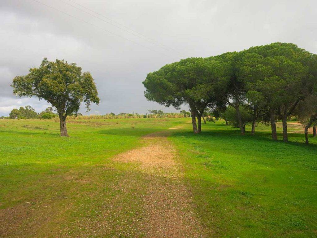 6 dní Faro beaches, 100 km running trails