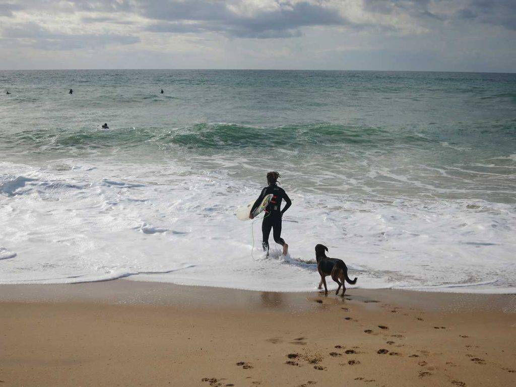 6 dní Faro beaches, 100 km running trails