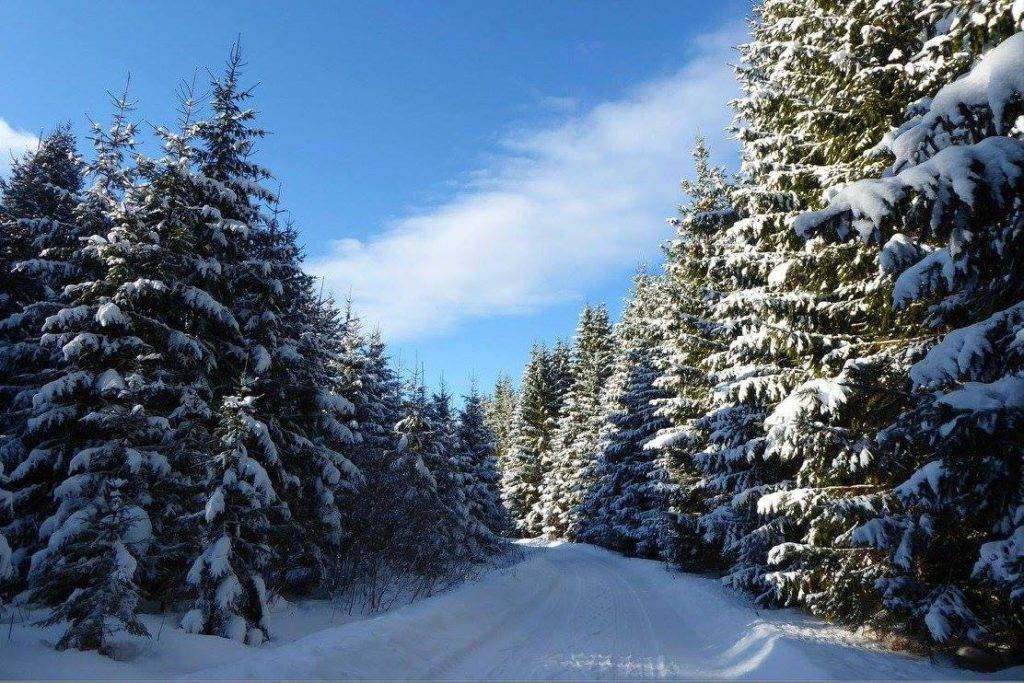 Muránska planina - turistické trasy/ cyklotrasy