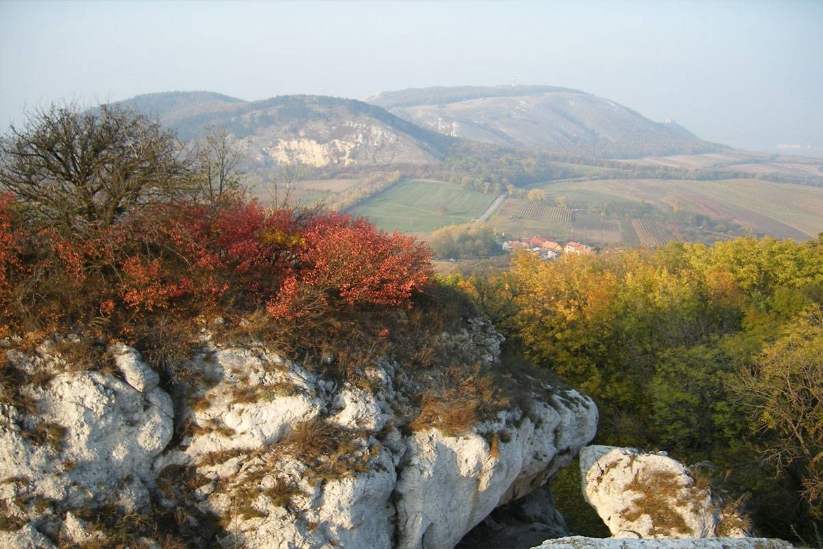 Pálava - turistické trasy/ cyklotrasy