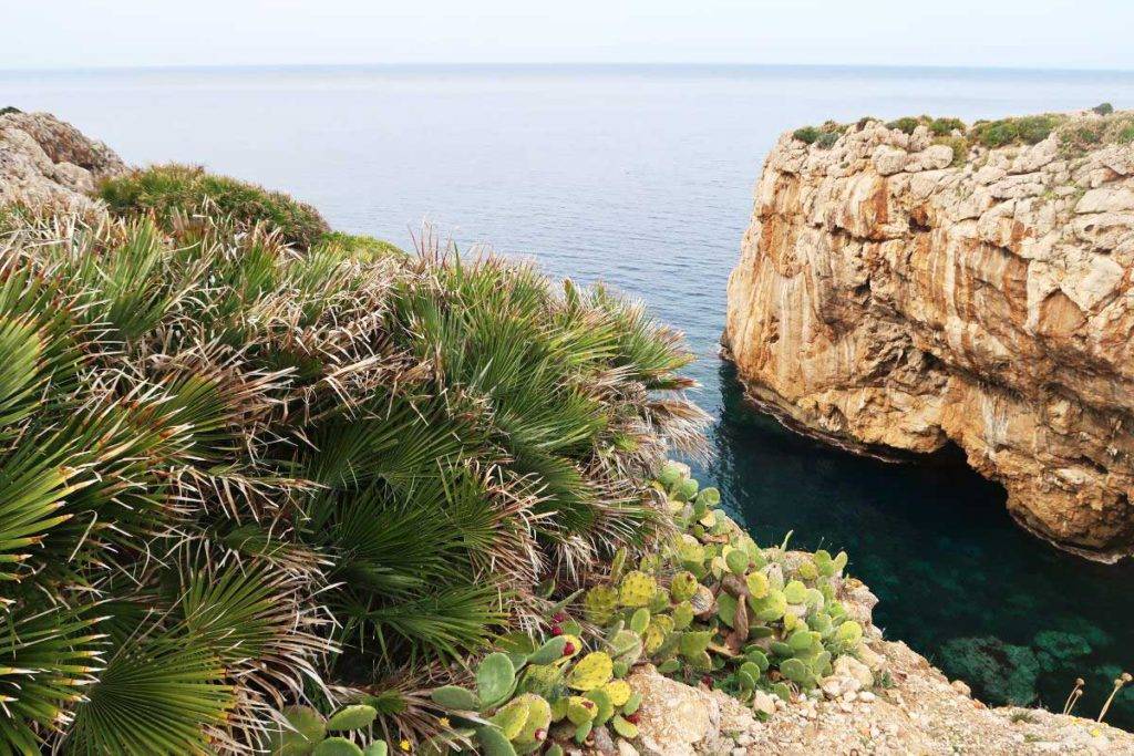 Palermo beaches