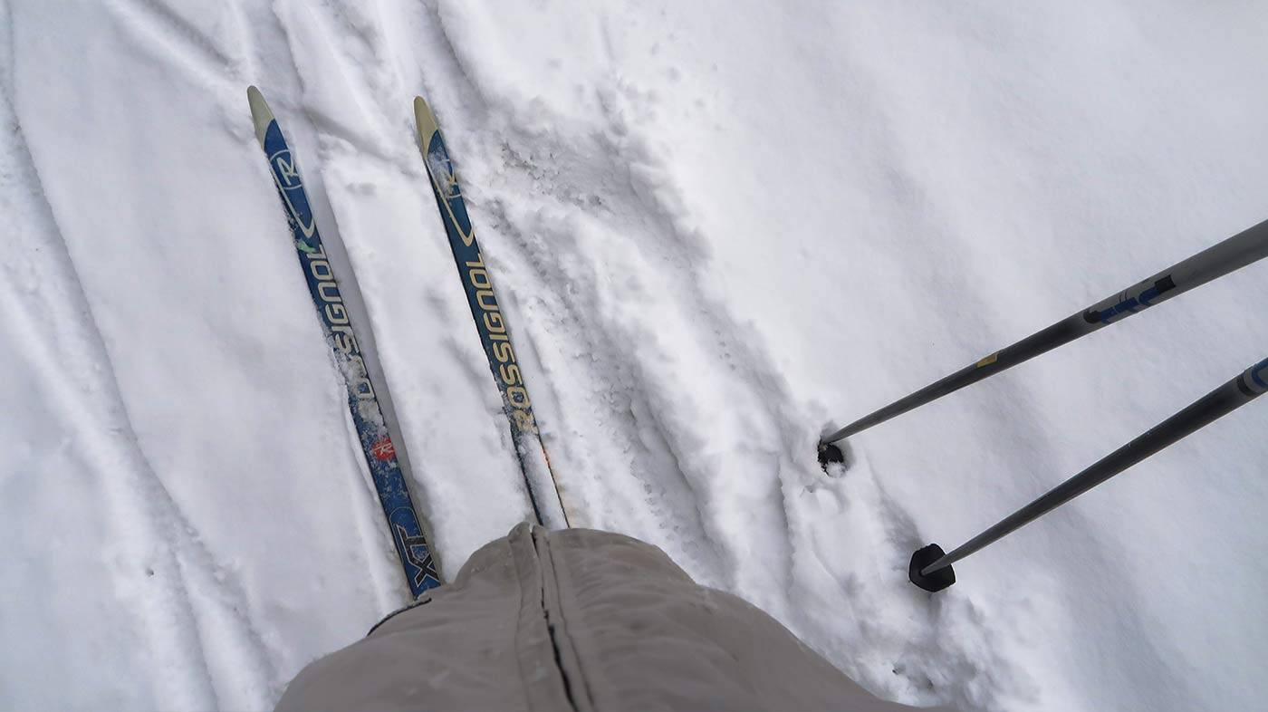 Fat bike experience Kralická Snežník