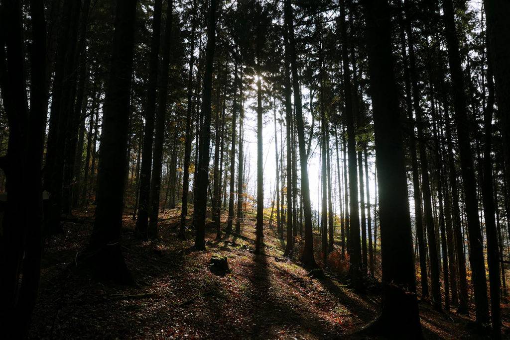 Priepasť Macocha - turistické trasy/cyklotrasy