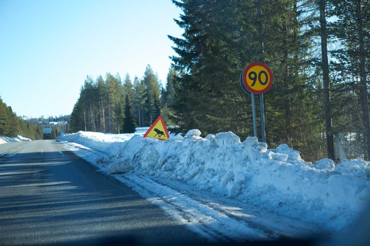 Roadtrip po Nórsku - Lofoty