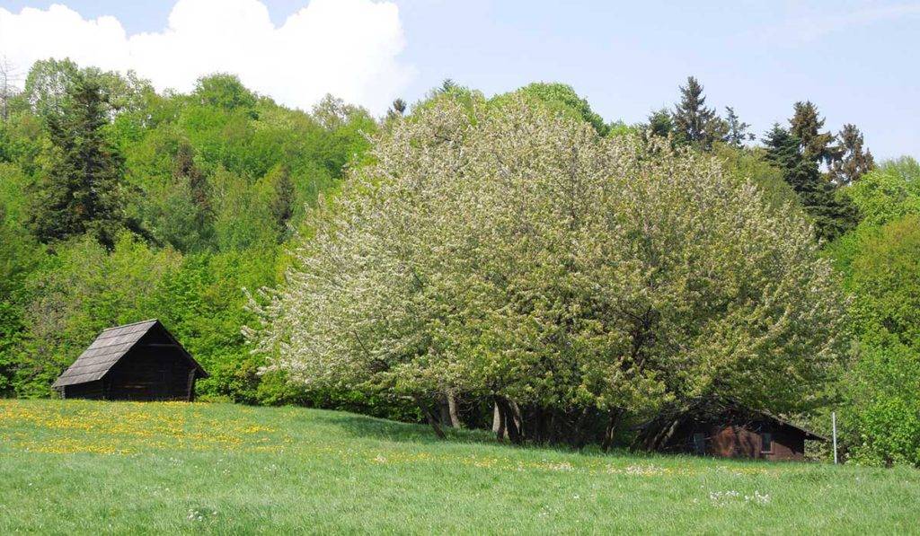 Richňavský tajch - Banská Štiavnica - turistické trasy/ cyklotrasy