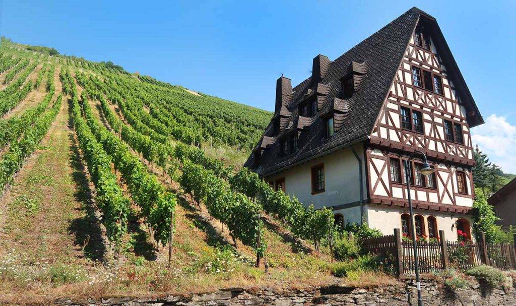 Bingen wine ride, alebo zážitkový cykloraj nad Mohanom