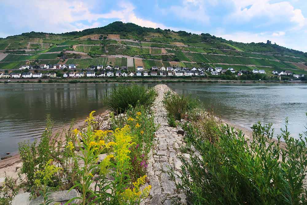 bingen wine ride