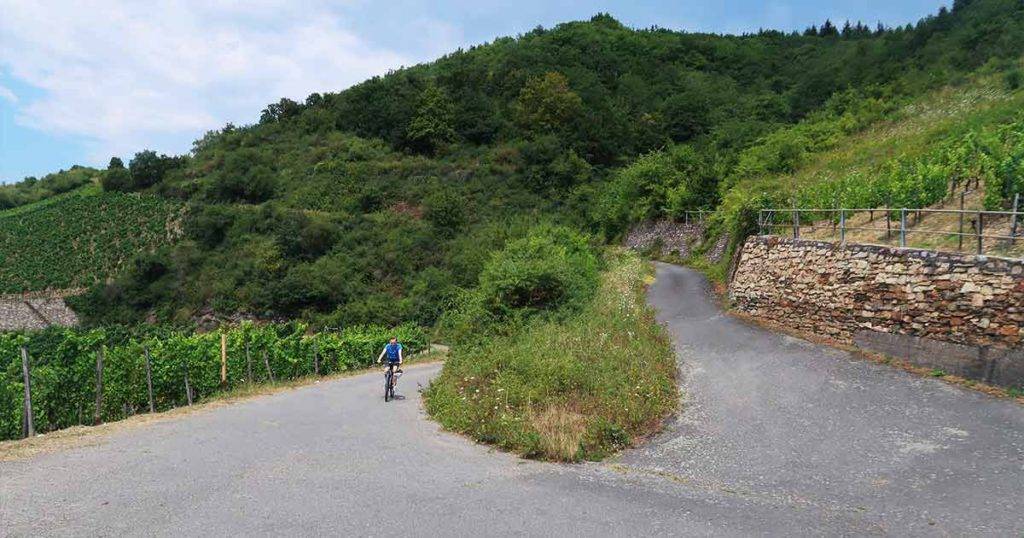 Bingen wine ride, alebo zážitkový cykloraj nad Mohanom