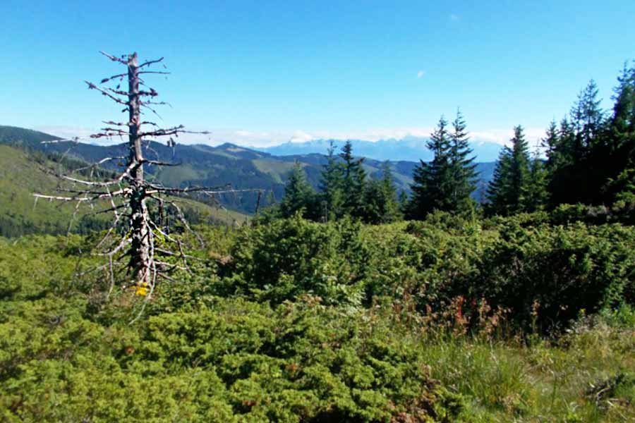 Hrebeňovka Nízke Tatry - 54. prechod SNP z Telgártu do Španej Doliny