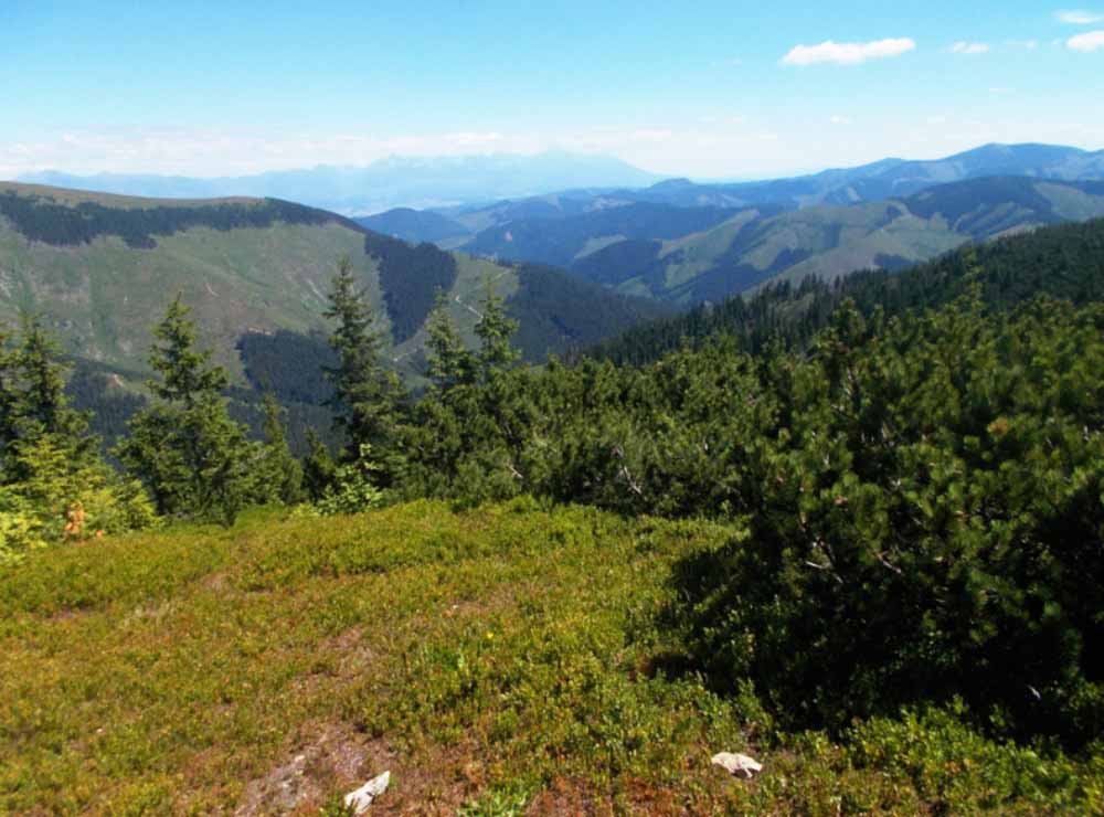 Hrebeňovka Nízke Tatry - 54. prechod SNP z Telgártu do Španej Doliny