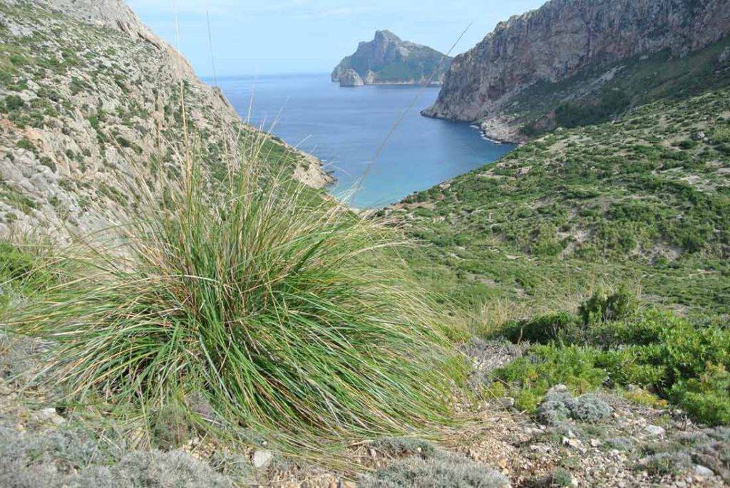 Najkrajšie turistické traily Mallorca. Outdoor.