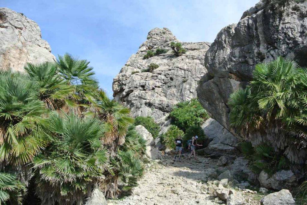 Najkrajšie turistické traily Mallorca. Outdoor.