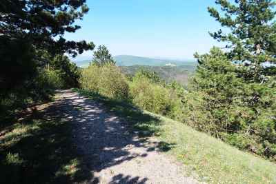 Singltrail z Plešivca