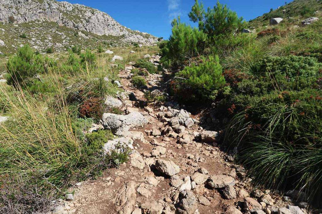 100km Mallorca trails