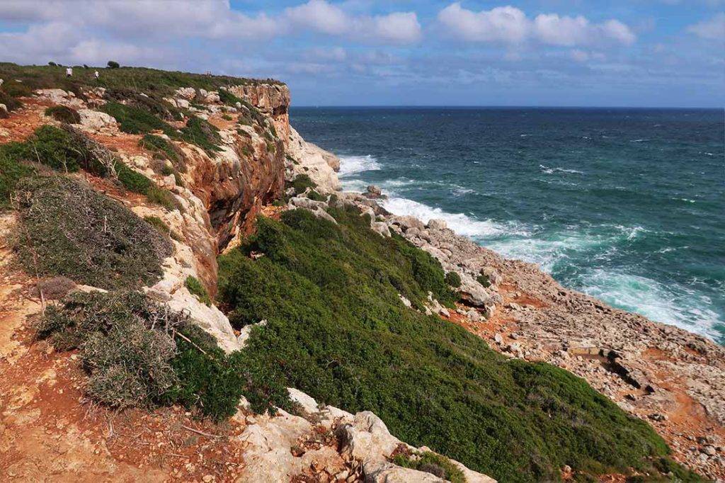 100 km Mallorca trails.