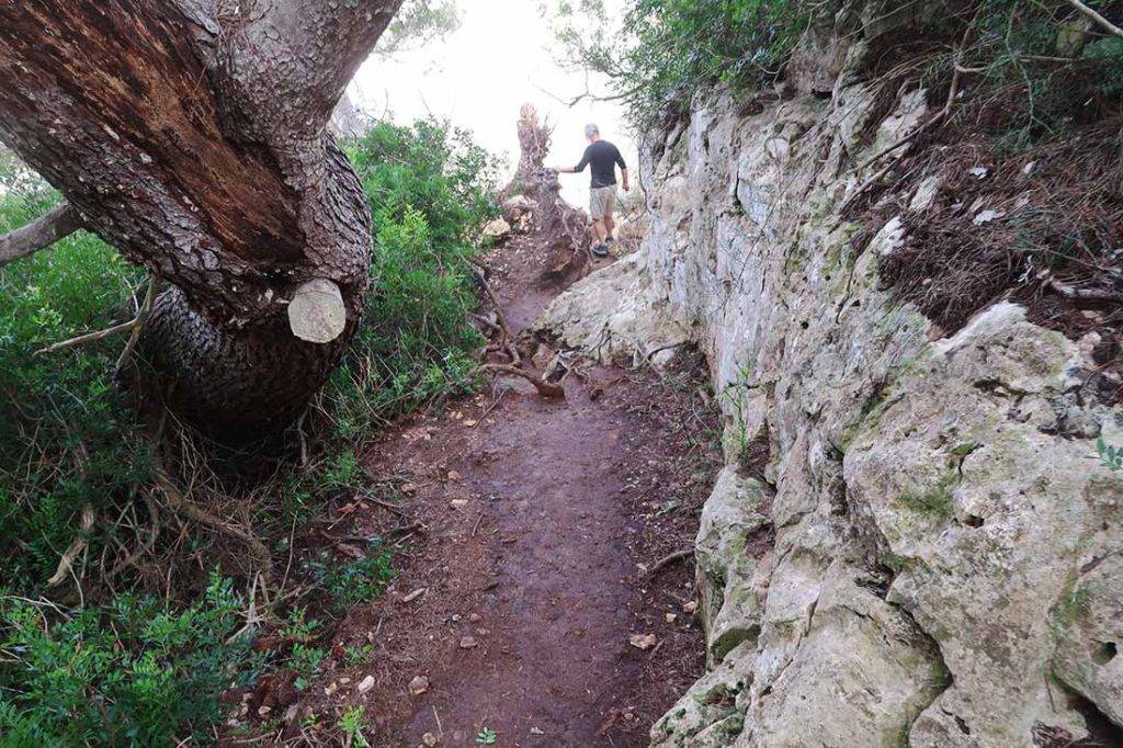 100 km Mallorca trails.