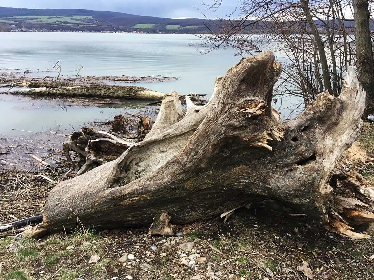 Hľadanie ideálnej cykloskratky domov