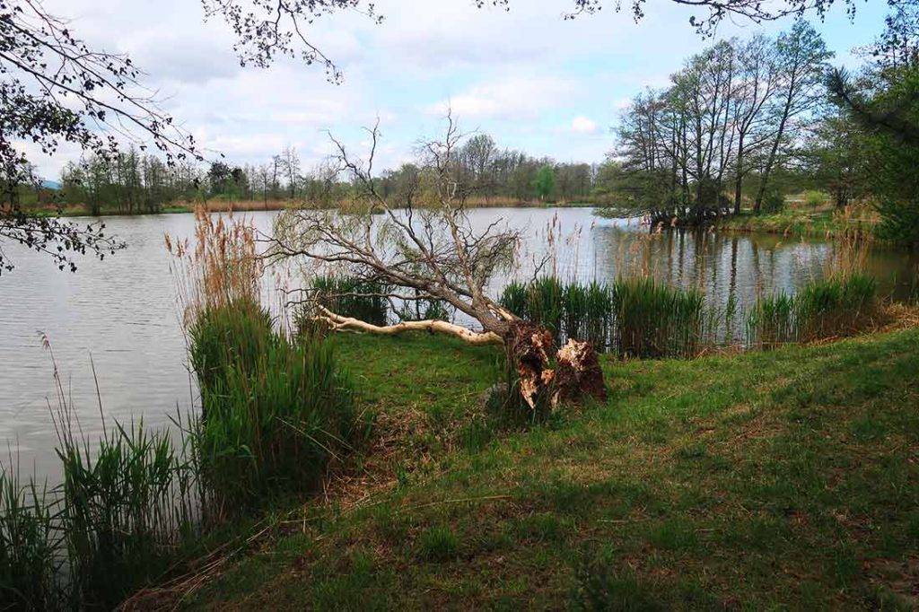 1. ročník Nordic walking Rohožnícka 12