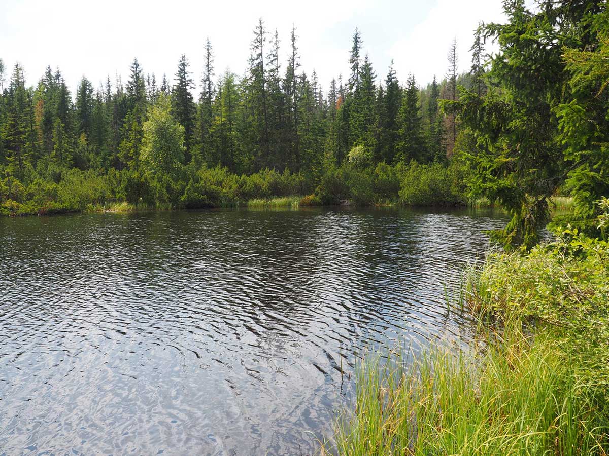 Rodinný zápisník: Jamské pleso