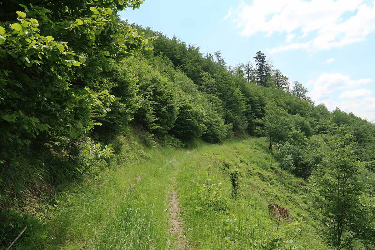 Na bicykloch po zvážniciach Kľakovskej doliny