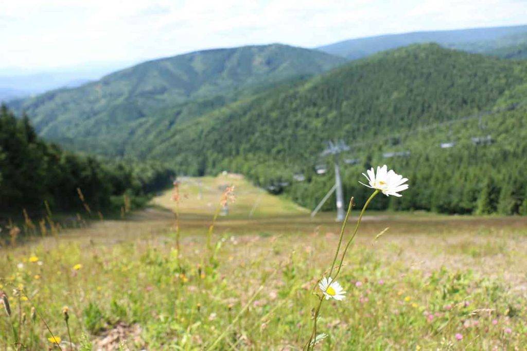 Kremnická Skalka po turisticky s deťmi