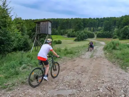 Na rúbaný vrch