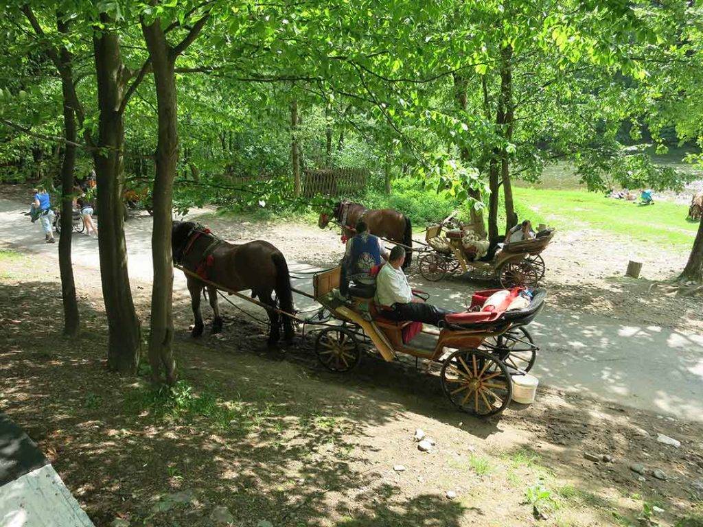 Vlakom a bicyklom na Červený kláštor