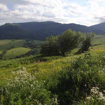 Levočské vrchy