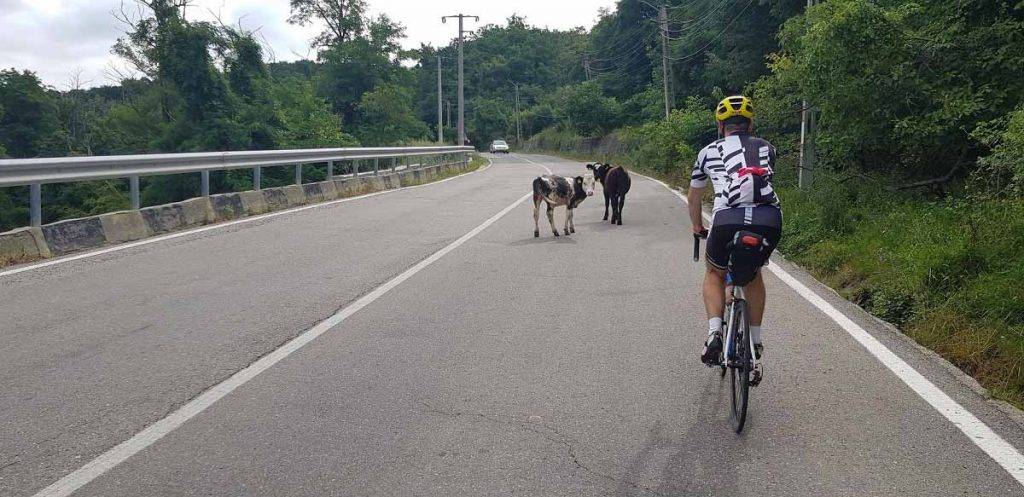 Cyklistika v Rumunsku cez Transalpinu a Transfagarasan