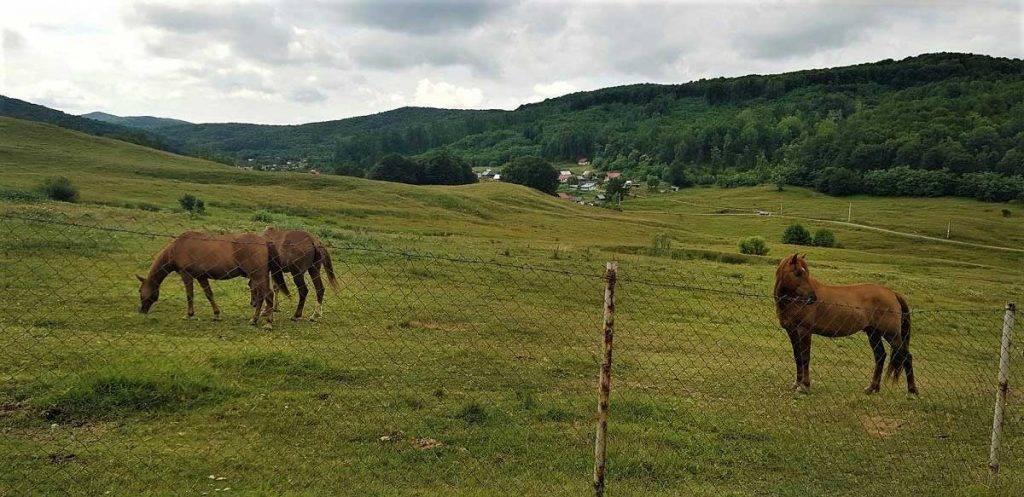 Cyklistika v Rumunsku cez Transalpinu a Transfagarasan