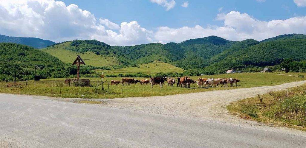 Cyklistika v Rumunsku cez Transalpinu a Transfagarasan