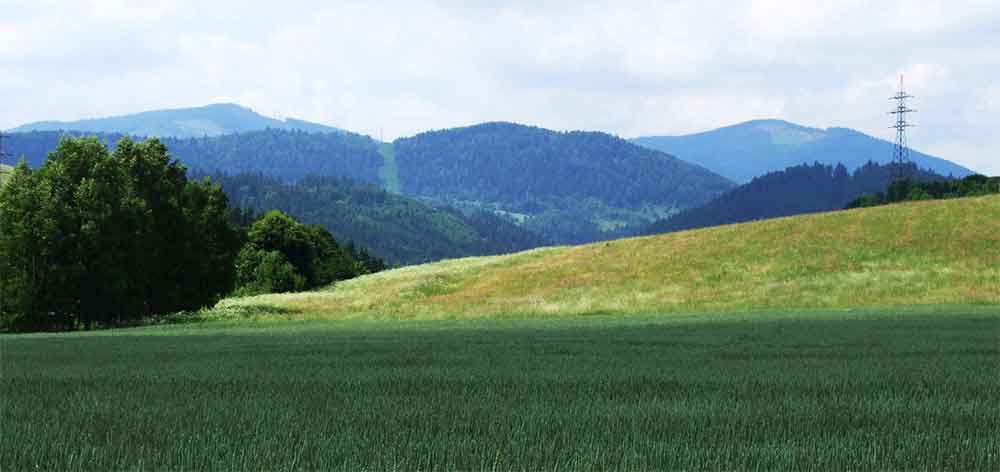 Javorinka, na Vertuľu, Levočské vrchy 1154 m.n.m.