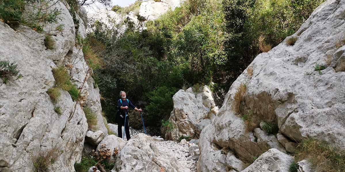 Cala Gonone, Fuli a Luna