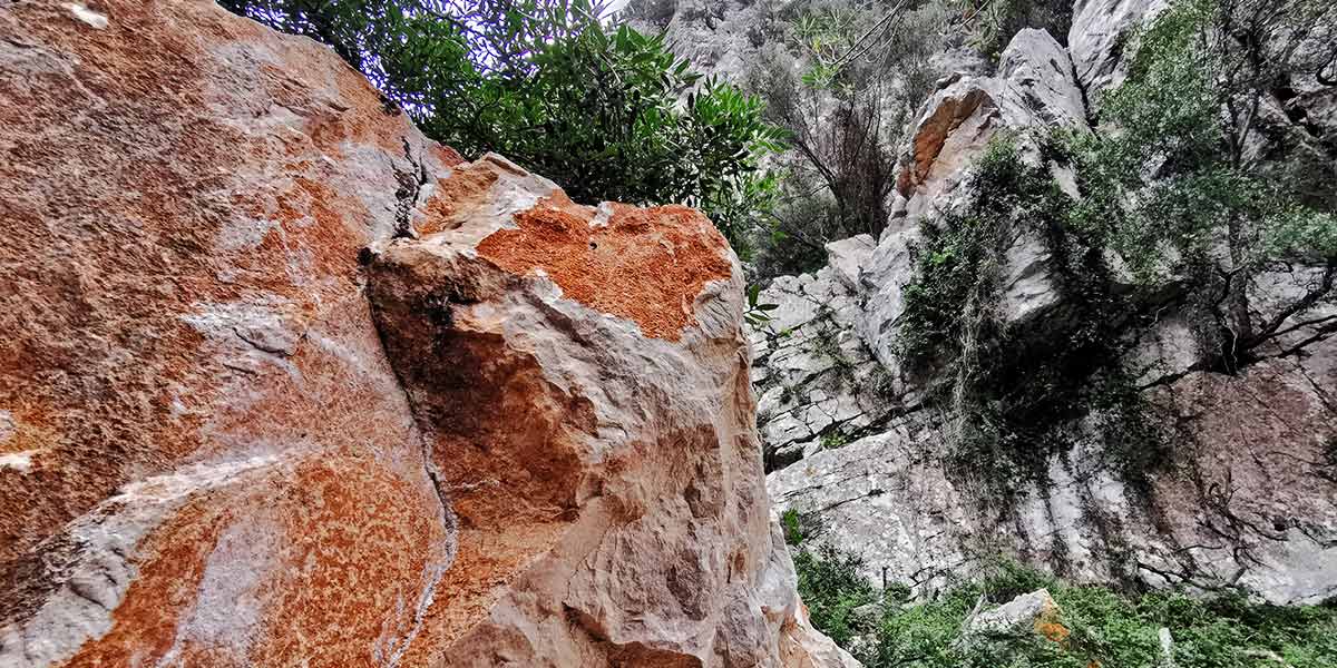 Cala Gonone, Fuli a Luna