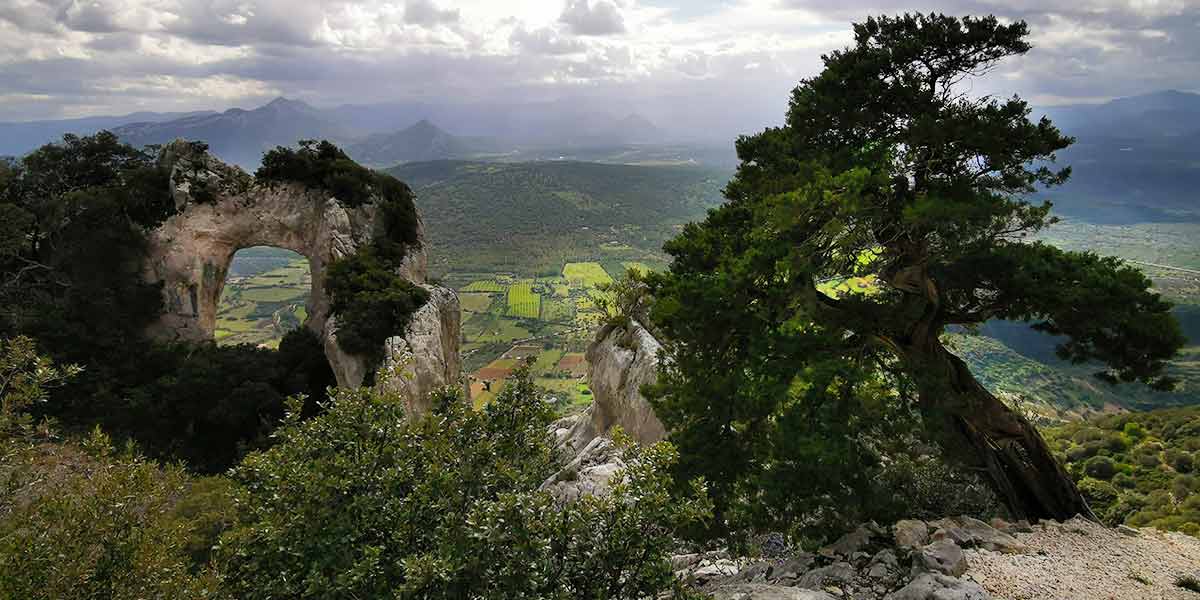 Galitelli Nuoro sardínia