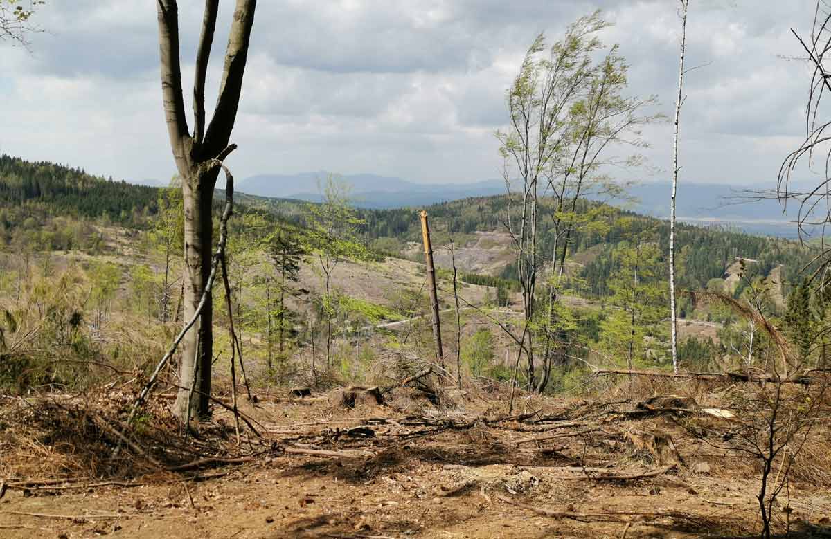 MTB Po hrebeni Žiaru remata Handlová Prievidza