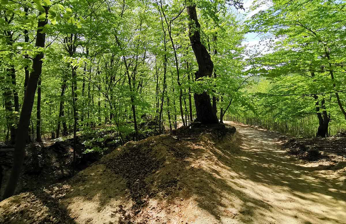 MTB Po hrebeni Žiaru remata Handlová Prievidza