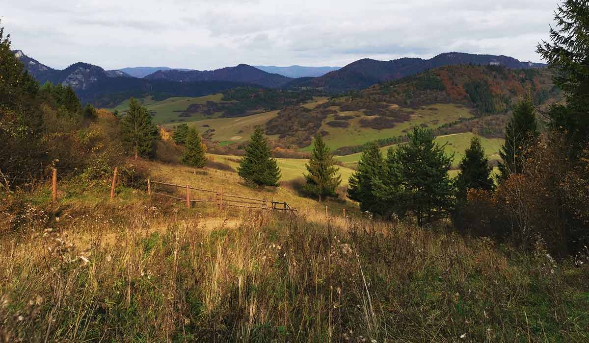 Špica singletrail