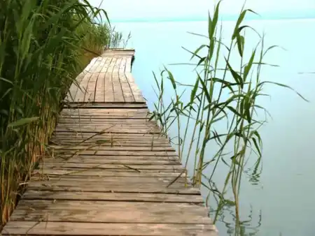Balaton
