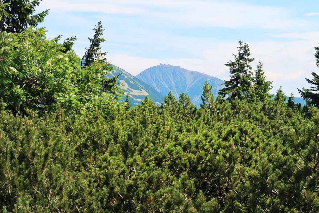 Krkonošské boudy pod Snežkou