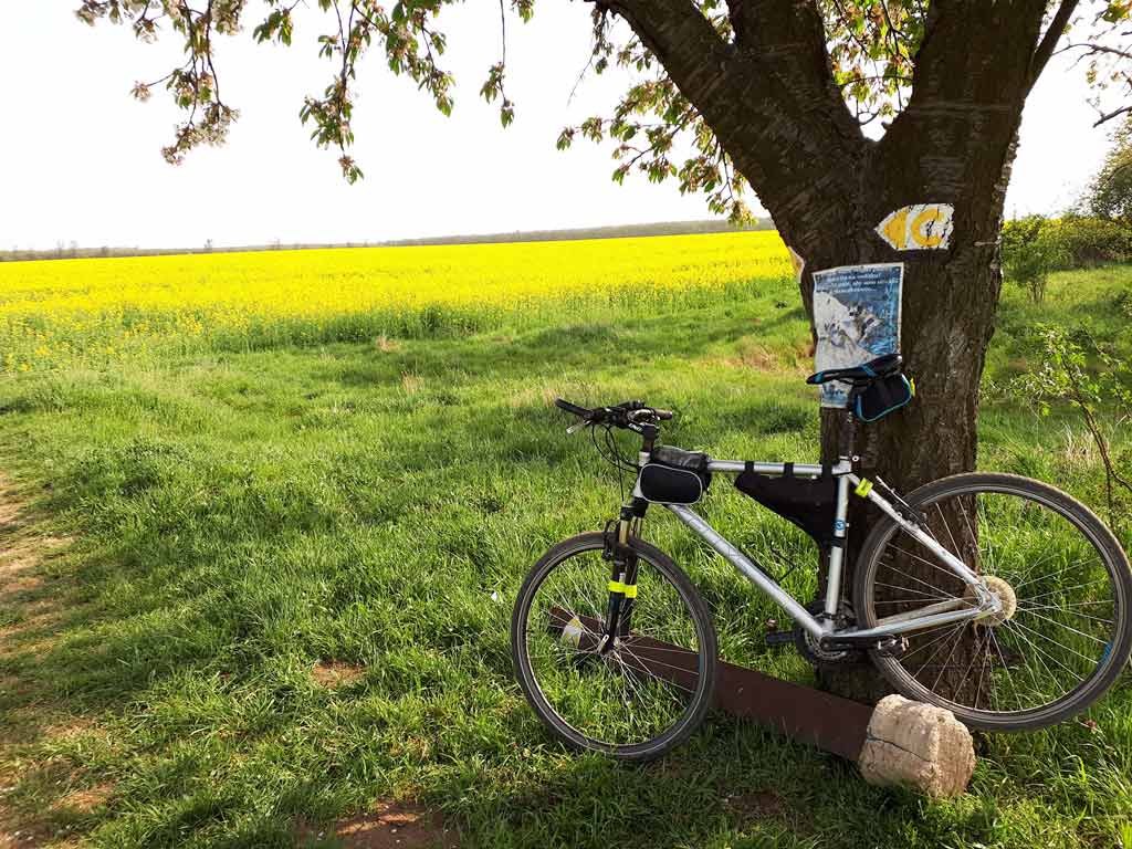 Len tak zľahka vlakom a bicyklom po okrese Seneckom